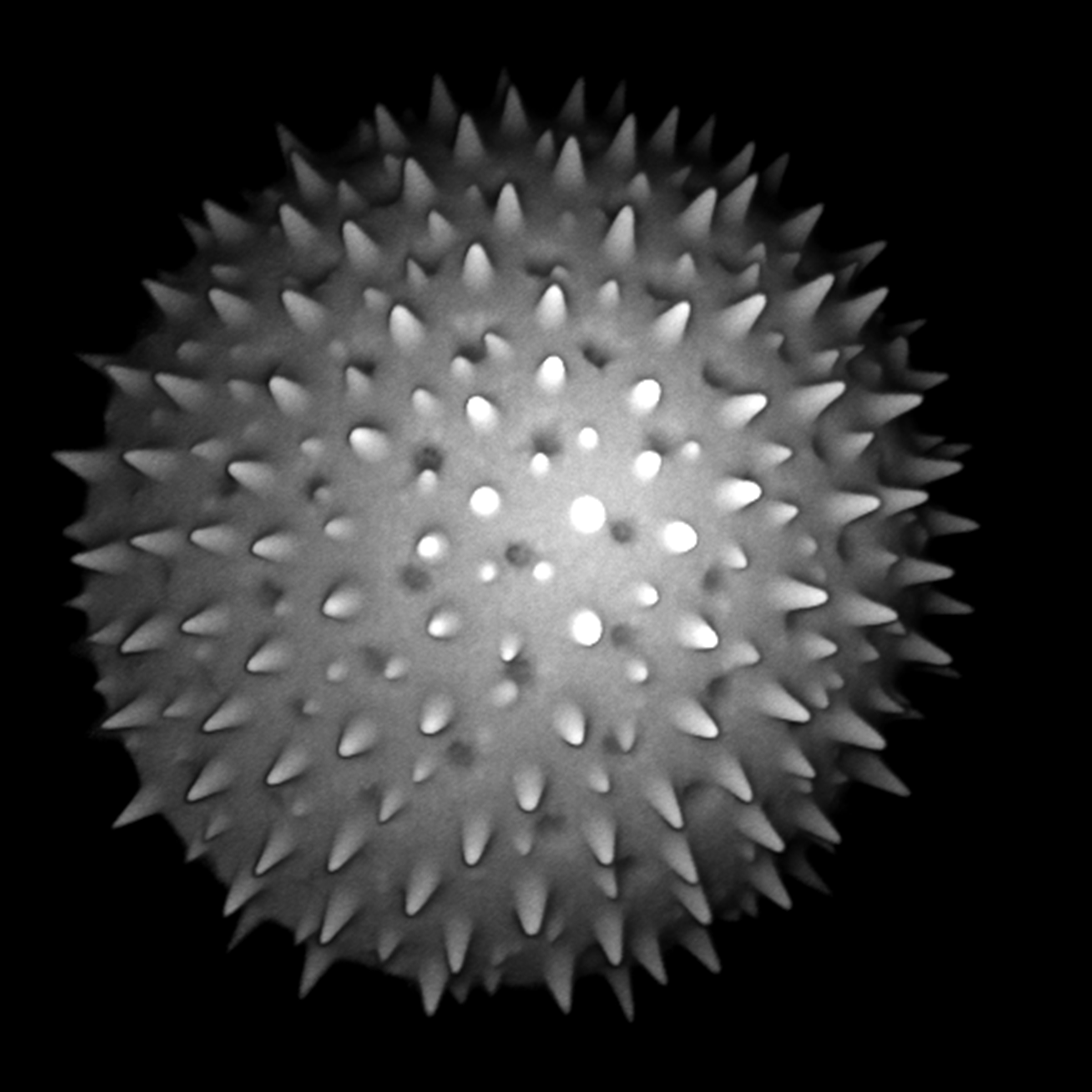 Time-resolved Laser Scanning Confocal Microscopes